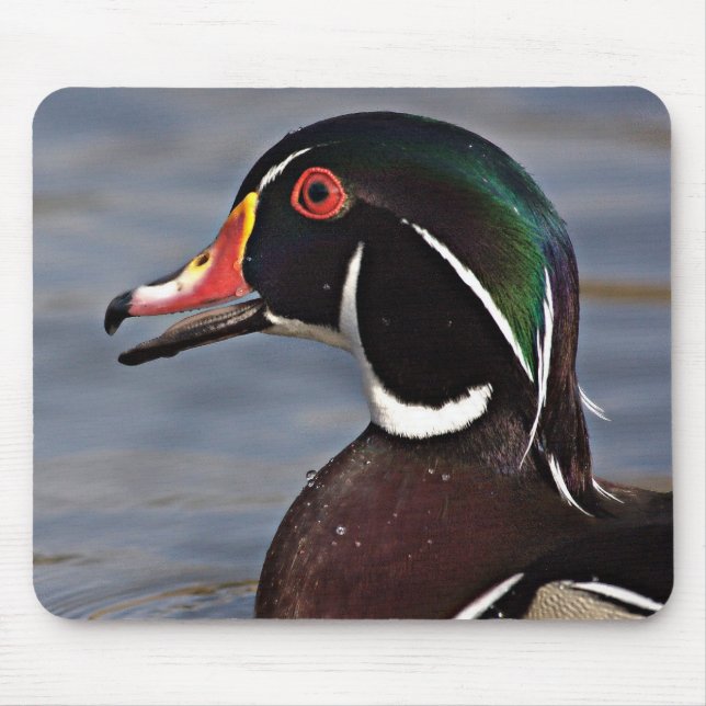 Profile of A Wood duck Mouse Mat (Front)