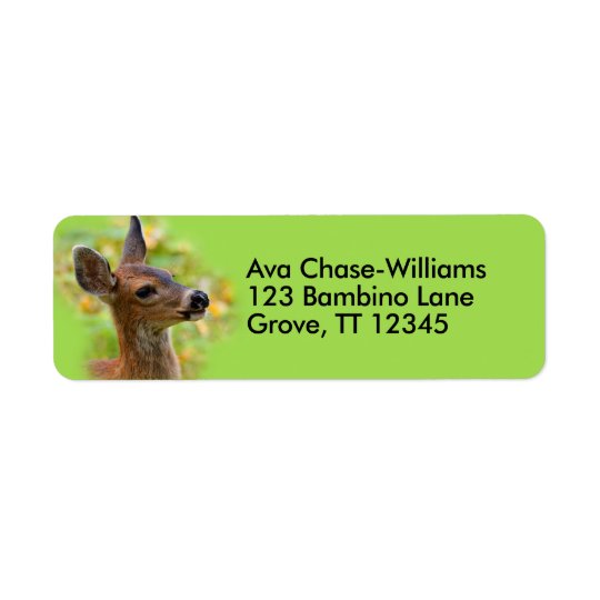 Profile of a Young Black-Tailed Deer Return Address Label