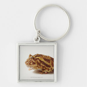 Profile of Argentine Horned Frog Key Ring