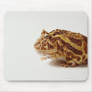 Profile of Argentine Horned Frog Mouse Mat