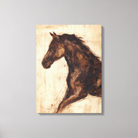 Profile of Brown Wild Horse