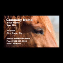 Profile of Horse