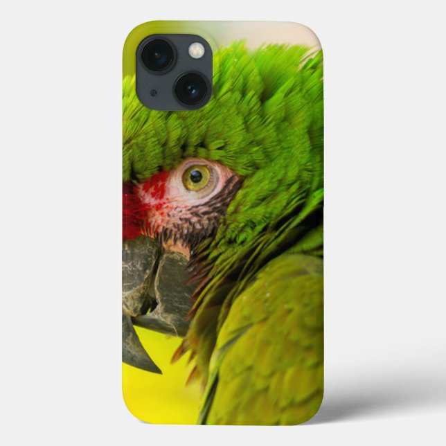 Profile of macaw at Santa Barbara Zoo Case-Mate iPhone Case (Back)