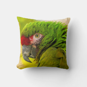 Profile of macaw at Santa Barbara Zoo Cushion