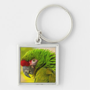 Profile of macaw at Santa Barbara Zoo Key Ring