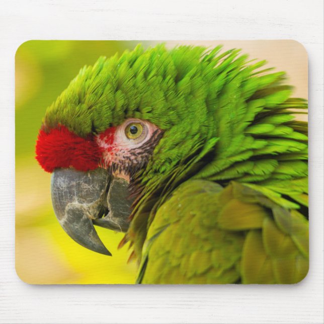 Profile of macaw at Santa Barbara Zoo Mouse Mat (Front)