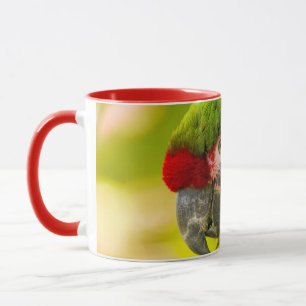 Profile of macaw at Santa Barbara Zoo Mug