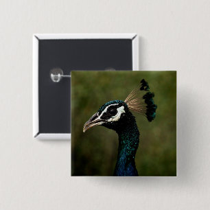 Profile of Peacock 15 Cm Square Badge