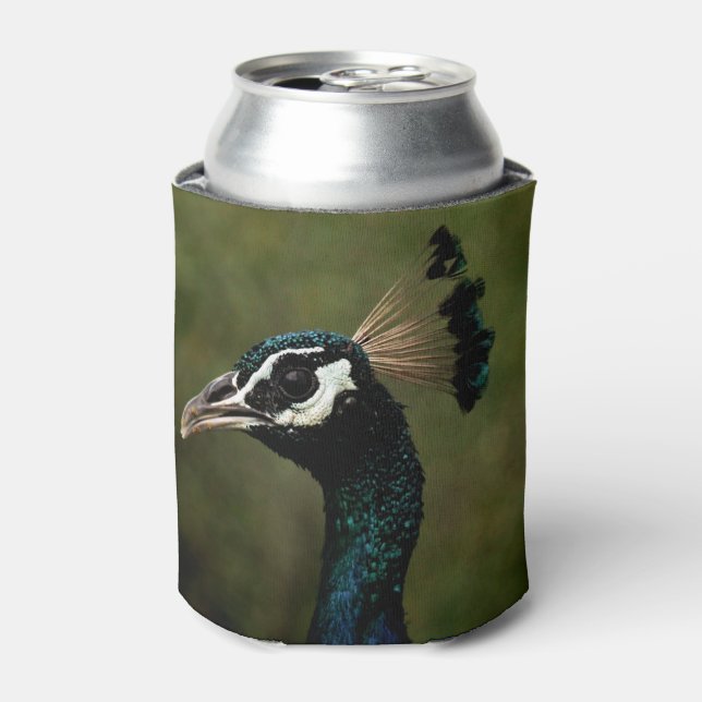 Profile of Peacock  Can Cooler (Can Front)