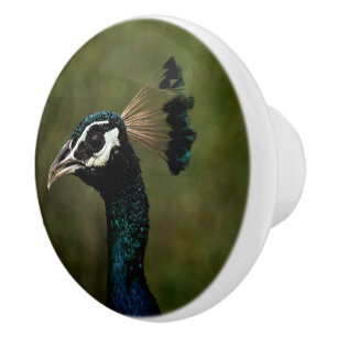 Profile of Peacock Ceramic Knob