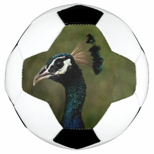 Profile of Peacock  Football