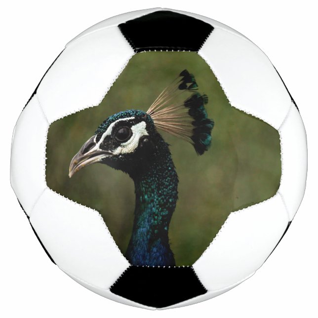 Profile of Peacock  Football (Front)