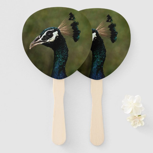 Profile of Peacock  Hand Fan (Front and Back)
