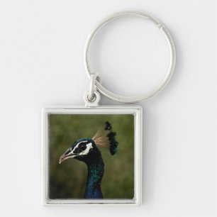 Profile of Peacock Key Ring
