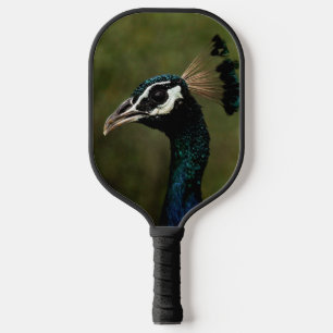 Profile of Peacock  Pickleball Paddle