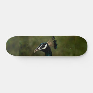 Profile of Peacock Skateboard