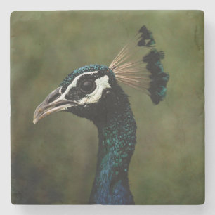 Profile of Peacock Stone Coaster