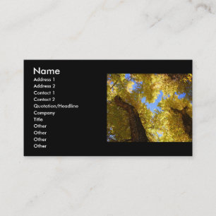 profile or business card, aspen card