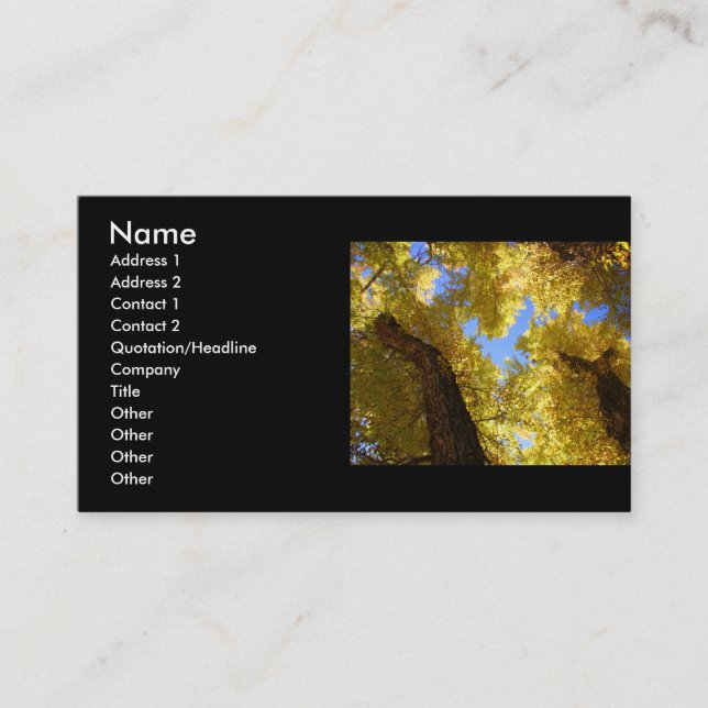 profile or business card, aspen card (Front)