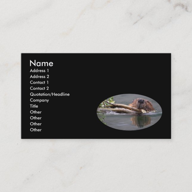 profile or business card, beaver business card (Front)