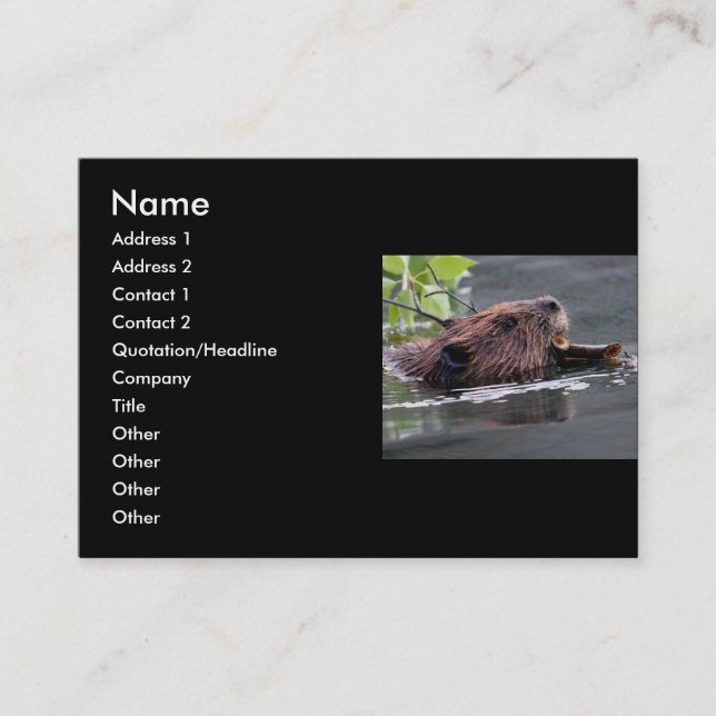 profile or business card, beaver business card (Front)