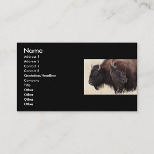 profile or business card, bison card