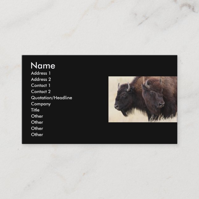 profile or business card, bison card (Front)