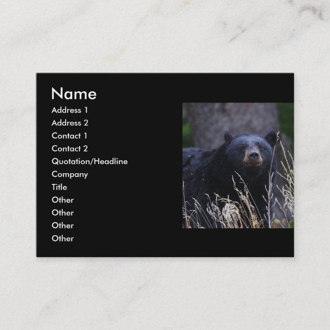 profile or business card, black bear business card (Front)