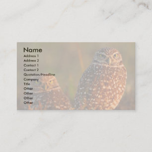 profile or business card, burrowing owls card