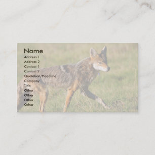 profile or business card, coyote business card