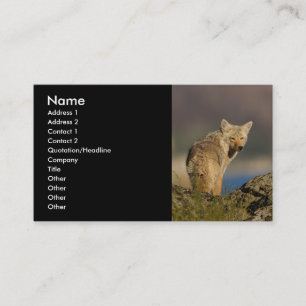 profile or business card, coyote card