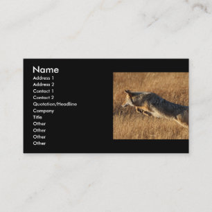 profile or business card, coyote jumping card