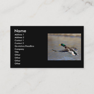 profile or business card, duck card