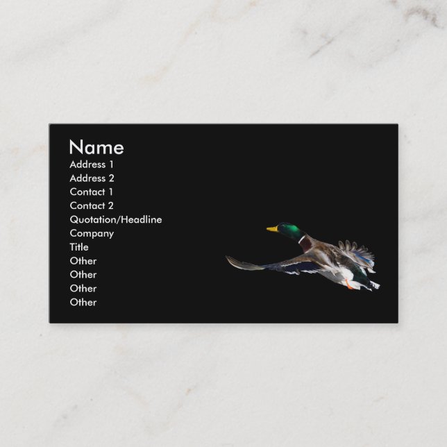 profile or business card, duck card (Front)