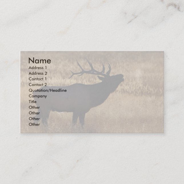 profile or business card, elk bugle card (Front)