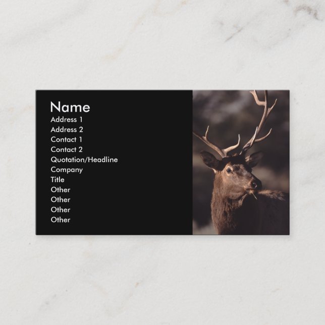 profile or business card, elk card (Front)