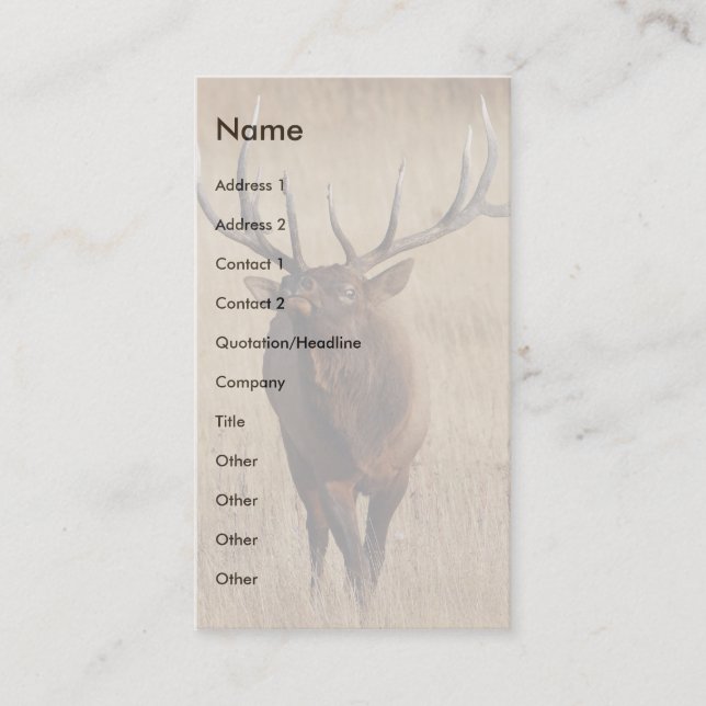 profile or business card, elk card (Front)