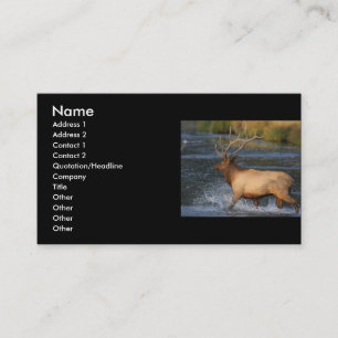 profile or business card, elk splash card