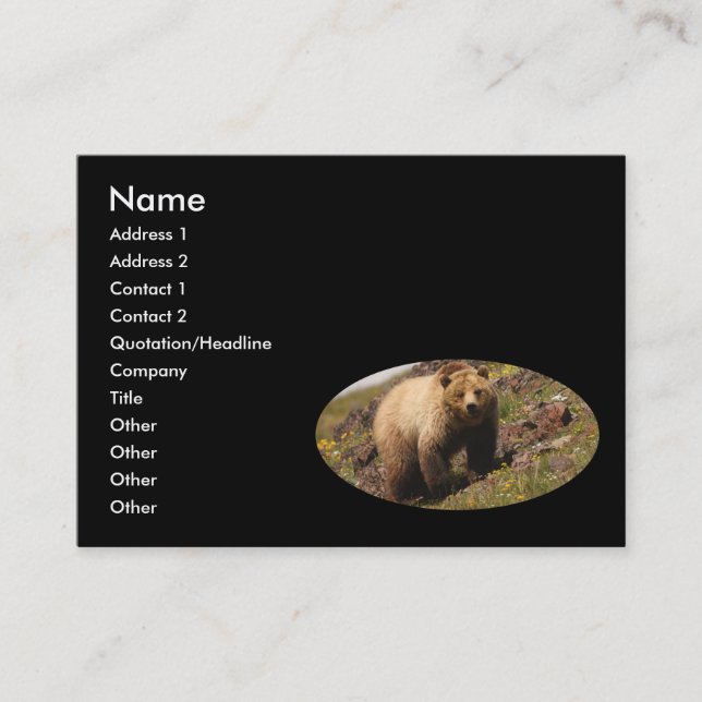 profile or business card, grizzly bear business card (Front)