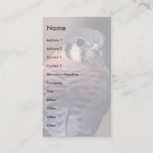 profile or business card, kestrel card