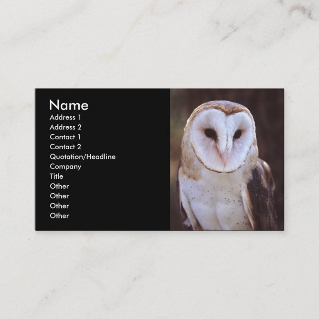 profile or business card, owl card (Front)
