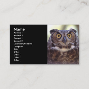 profile or business card, owl card