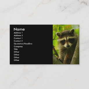 profile or business card, racoon card
