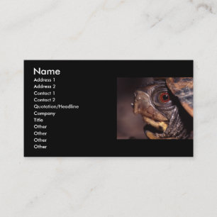 profile or business card, turtle card
