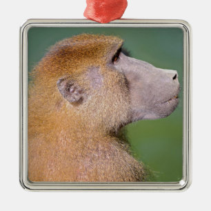 Profile portrait of baboon (Papio) on the green ba Metal Tree Decoration