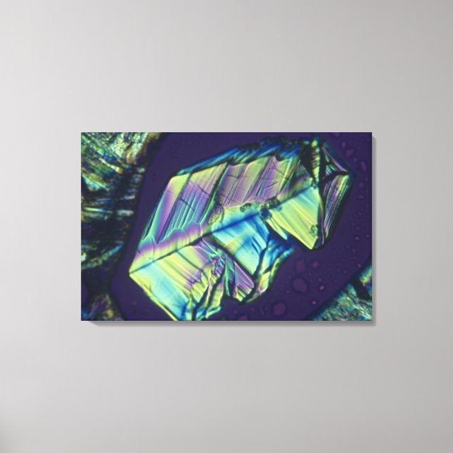 Progesterone crystals canvas print (Front)