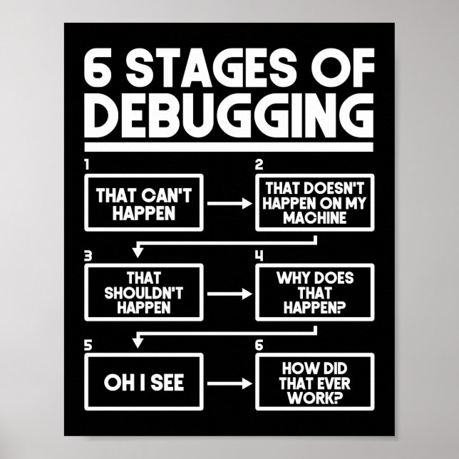 Programmer Coding 6 Stages Of Debugging Poster (Front)
