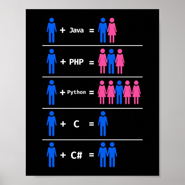 Programmer Coding C Python PHP Java Attracts Men Poster (Front)