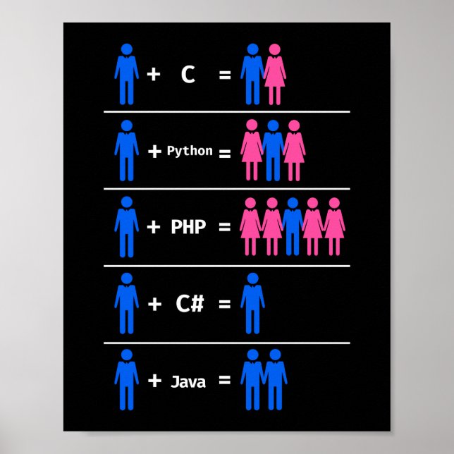 Programmer Coding C Python PHP Java Attracts Men Poster (Front)