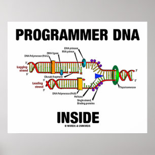 Programmer DNA Inside (DNA Replication) Poster